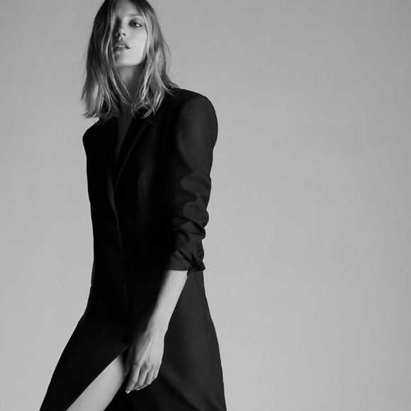 ZARA COAT DRESS BLOGGER FAVORITE SIZE L - Picture 4 of 10